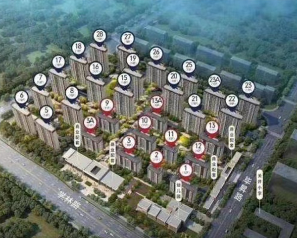 合肥學(xué)林春曉項目
